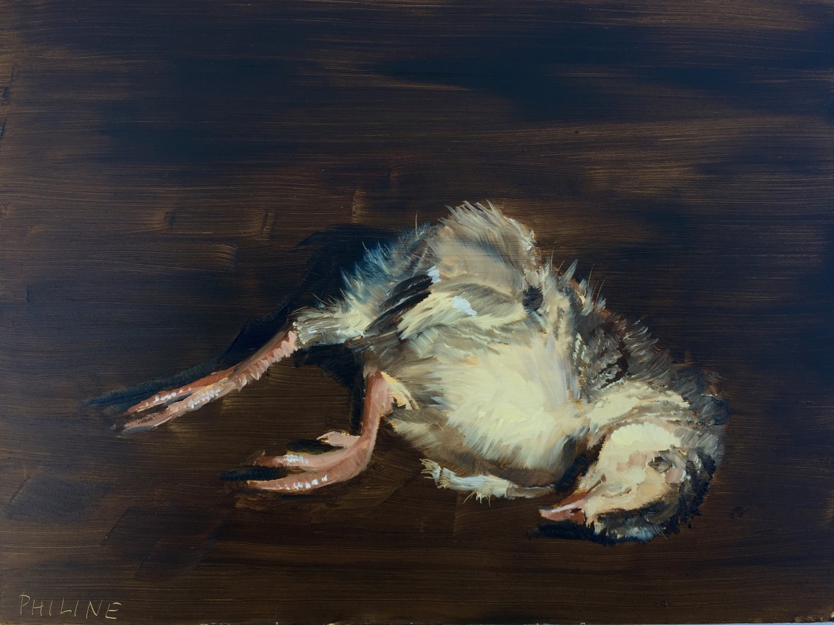 Turkey chick still life by Philine van der Vegte 
