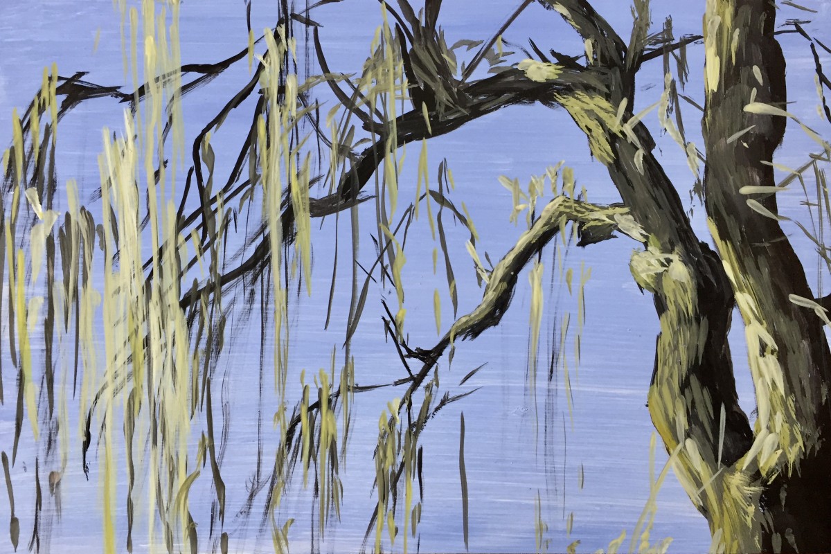 Weeping willow in the spring by Philine van der Vegte 