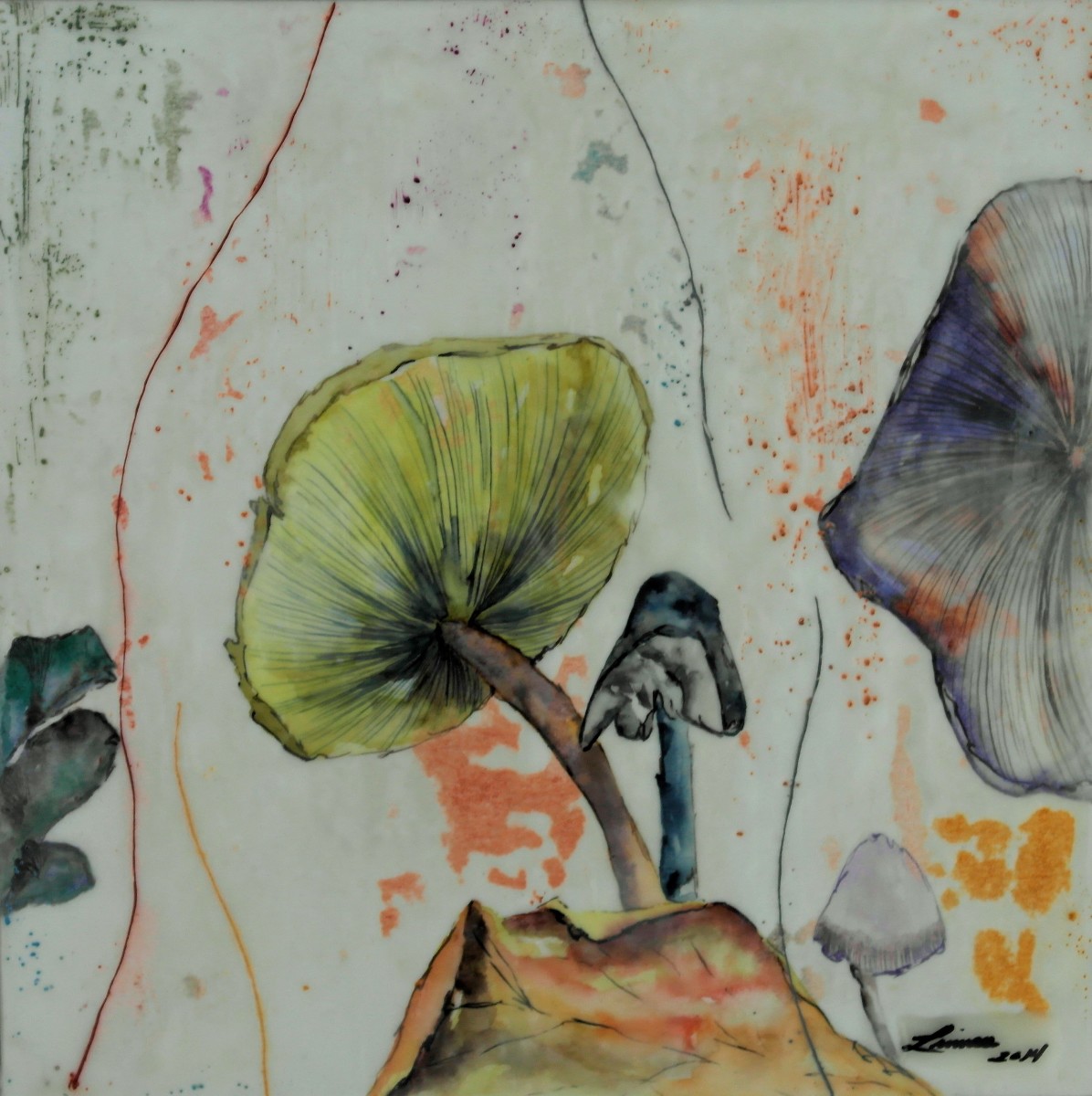 Mush Series by Linnea Martina  Hannigan, Image 1.