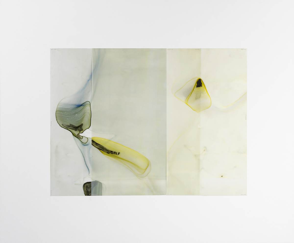 Etude #79 by Dara Mark 