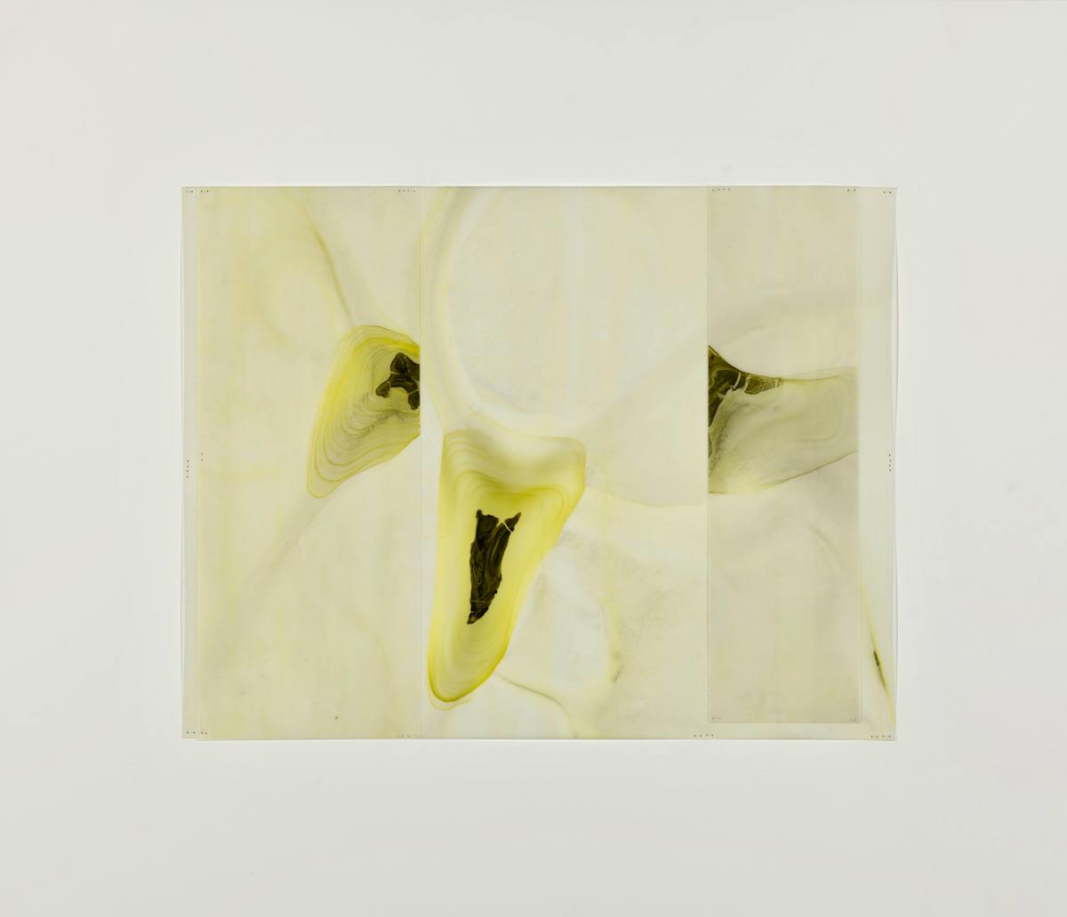Etude #81 by Dara Mark 