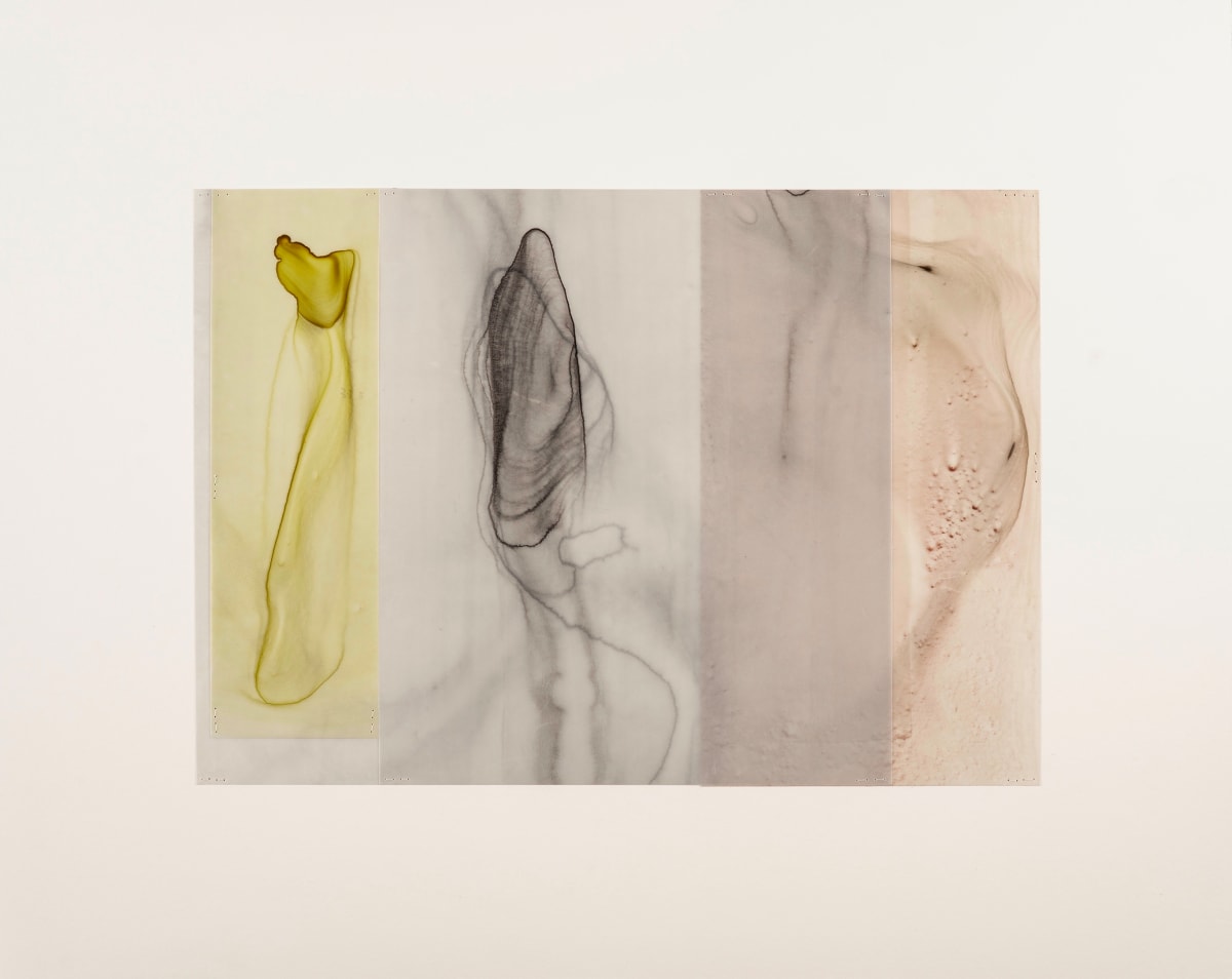 Etude #33 by Dara Mark 