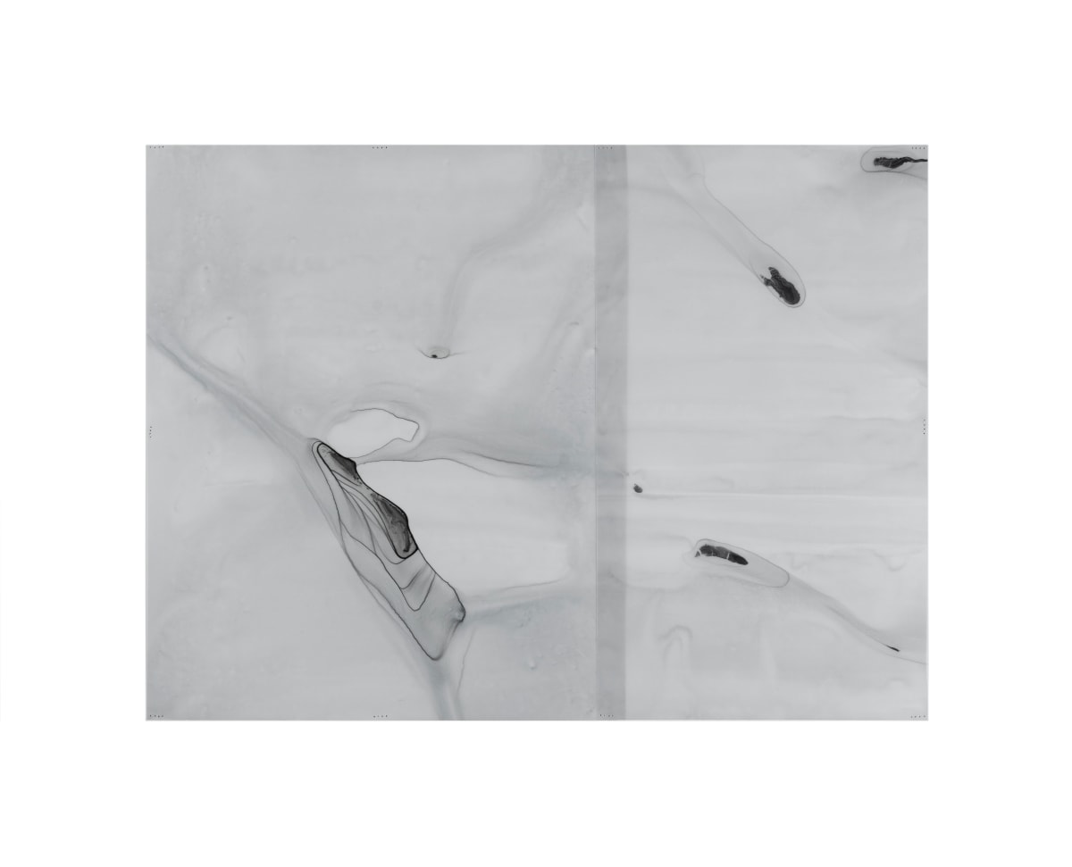 Holotropic #12 by Dara Mark, Image 1.