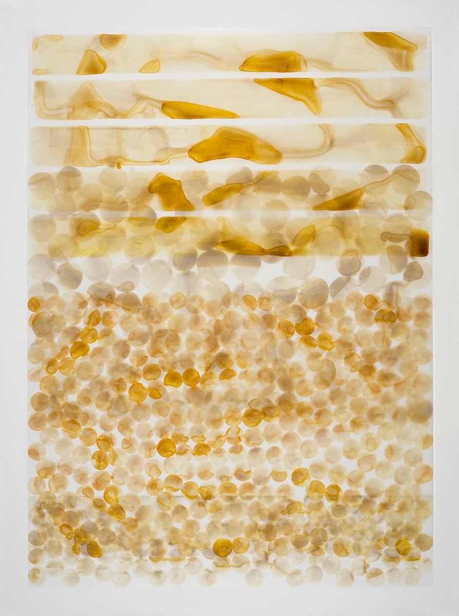 Golden Curtain by Dara Mark 