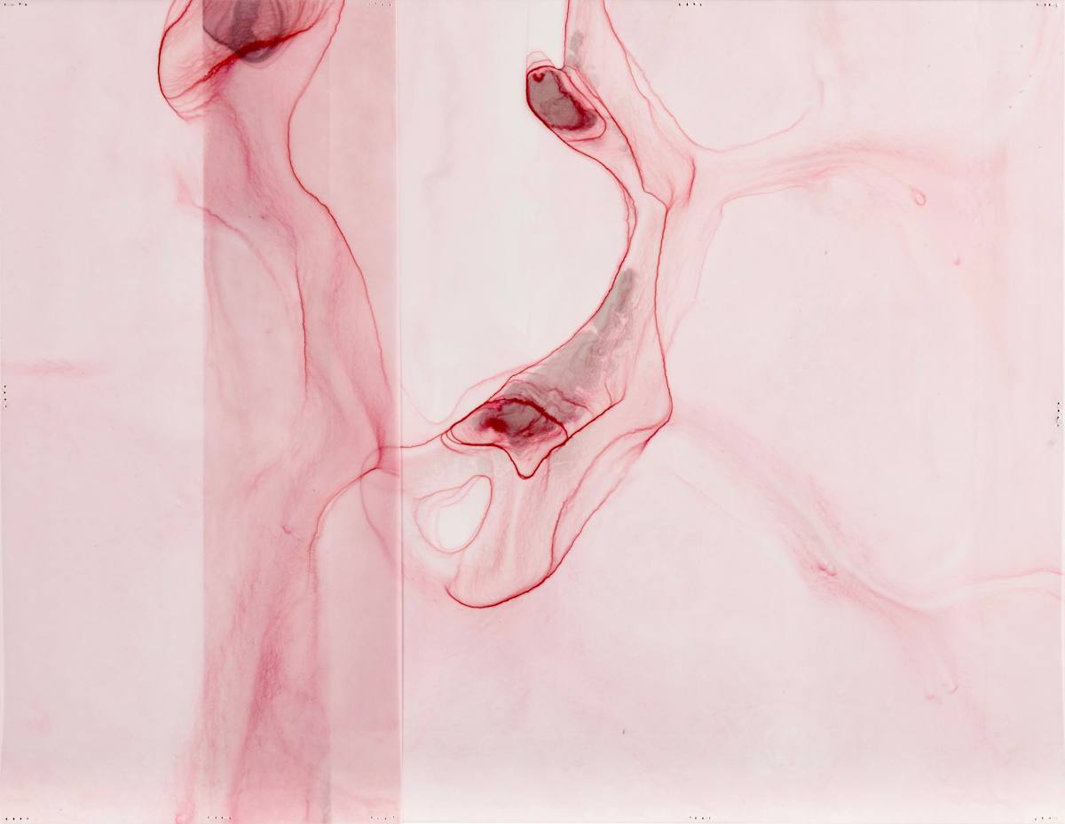 Perylene #5 by Dara Mark, Image 1.