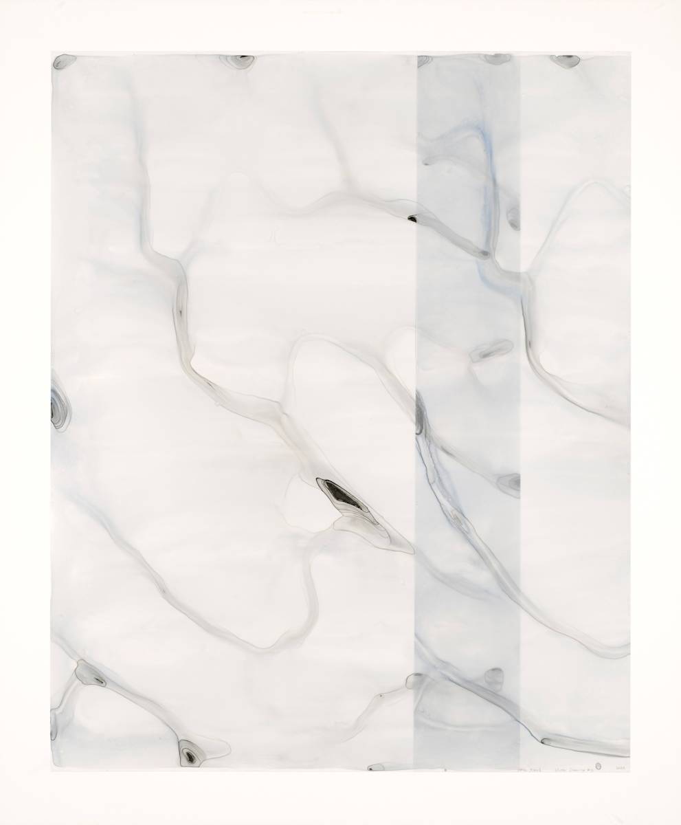 Water Drawing #3 by Dara Mark 