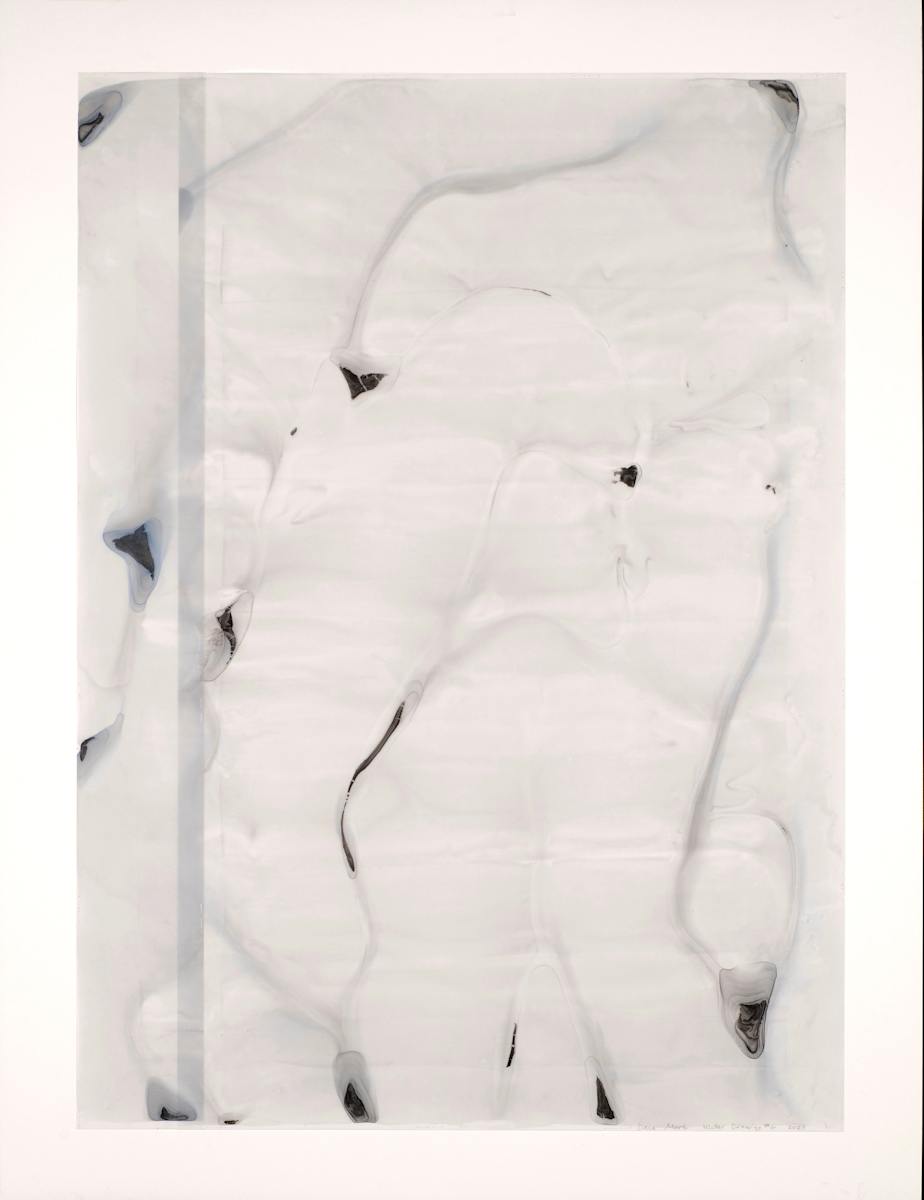 Water Drawing #6 by Dara Mark 