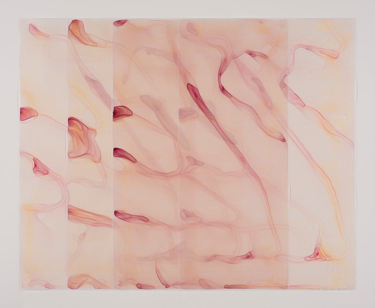 Caritas/Lily/Canyon Wall by Dara Mark 