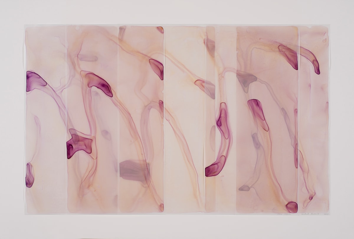 Orchid Reverie 