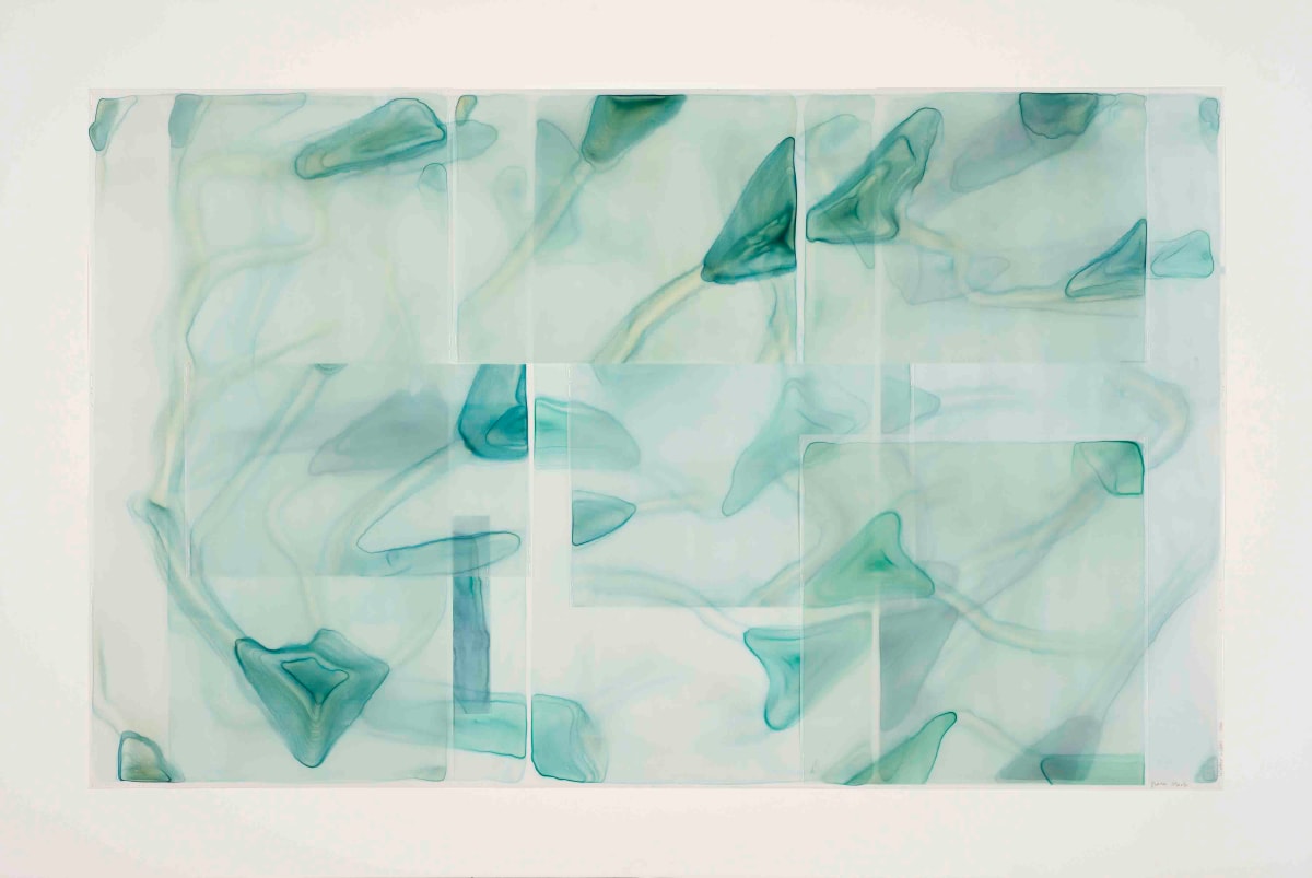 Water Lilies 