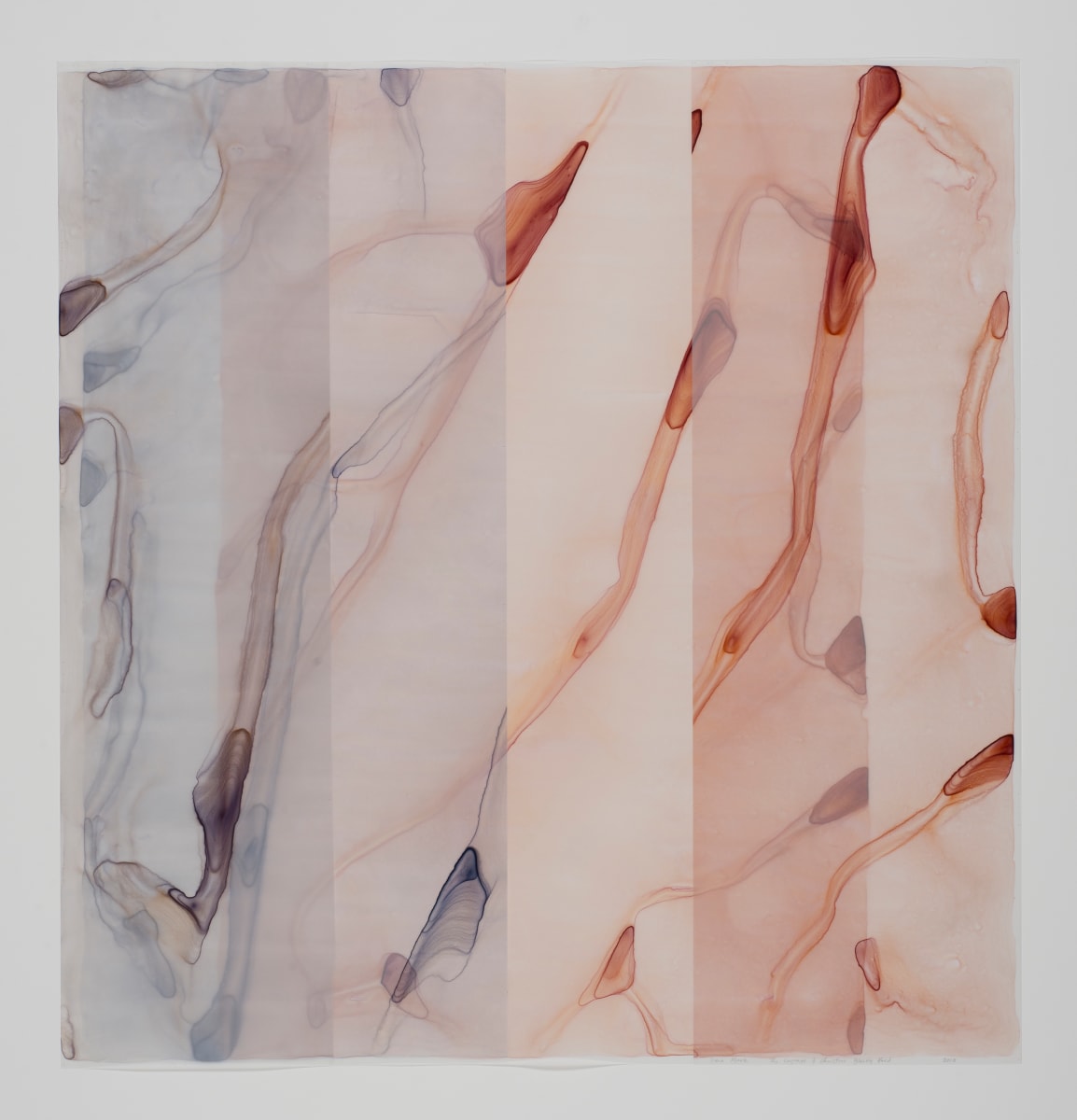 The Courage of Christine Blasey Ford 