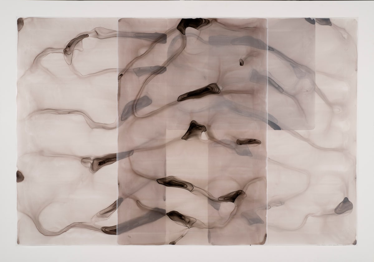 Wild Geese #1 