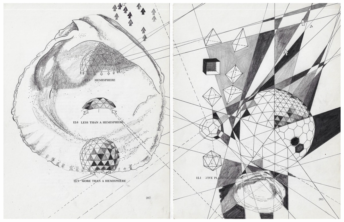 Five Platonic Solids Less Than a Hemisphere by Lynne Marinelli Ghenov, Image 1.