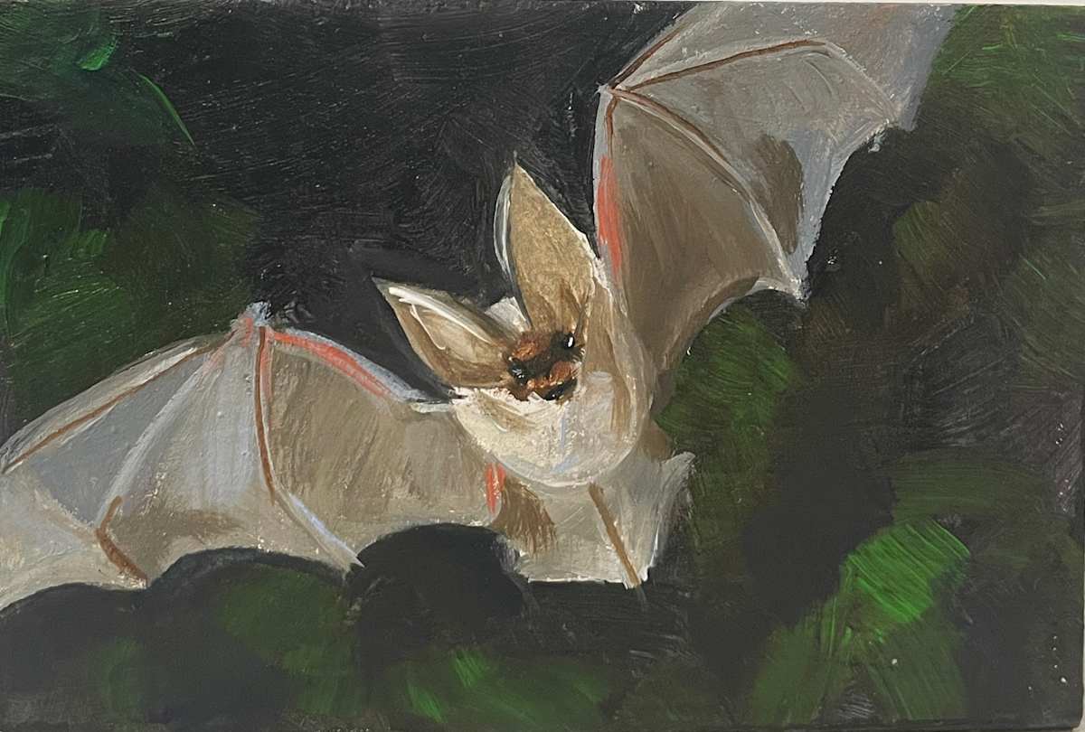 Batty by Mary Bryson 