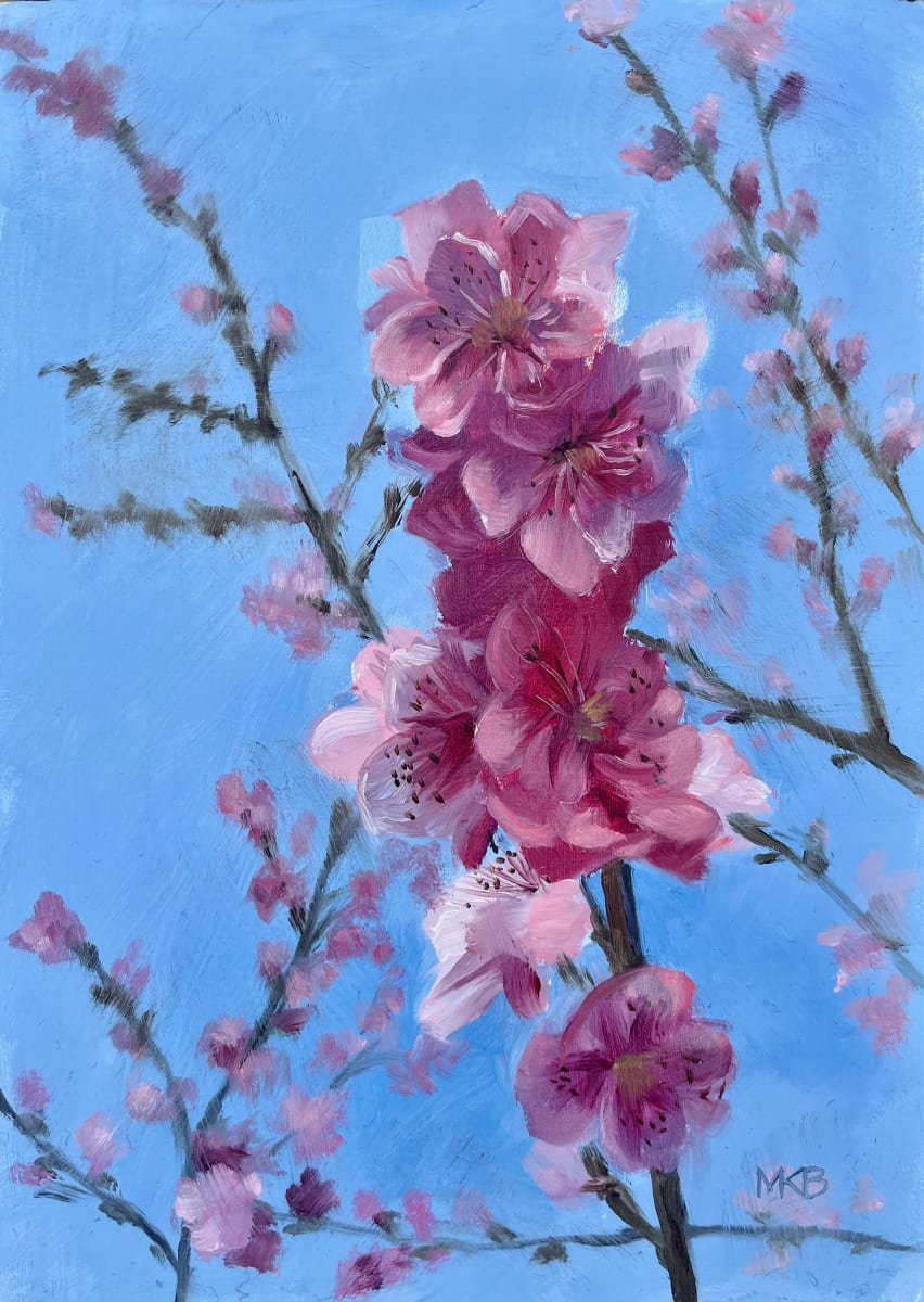 'Backlit Cherry Blossoms' by Mary Bryson 