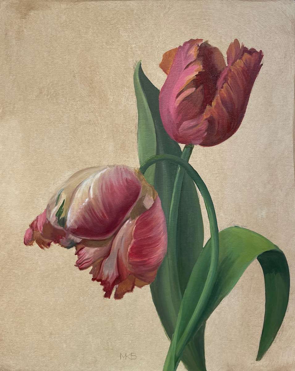 4th Parrot Study by Mary Bryson 