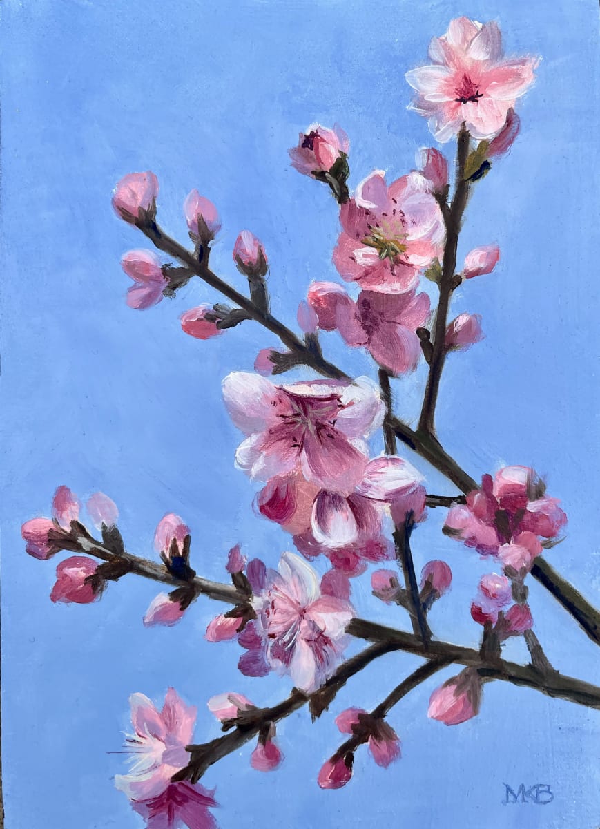 Cherry Blossoms Overhead by Mary Bryson 