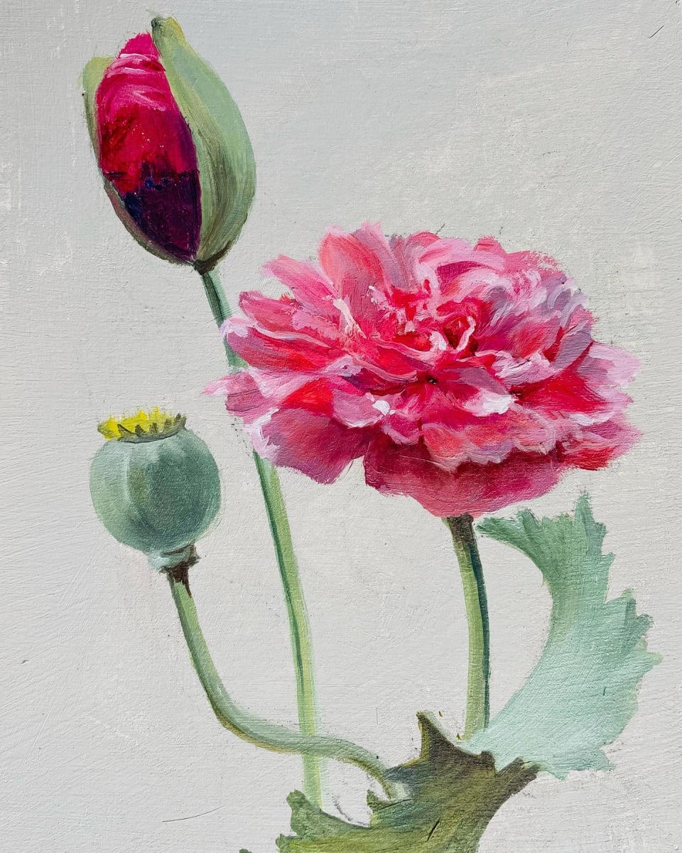 Double Pink 1 by Mary Bryson 