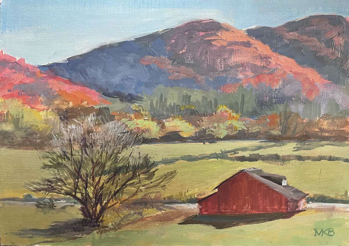 The View from Orchard House by Mary Bryson 