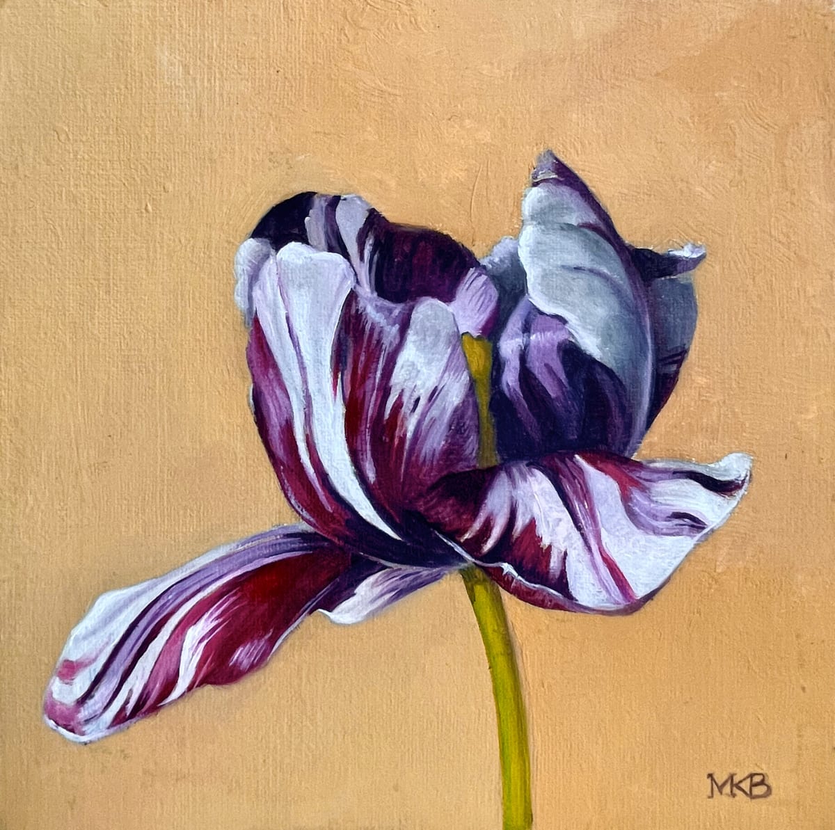 Tulip Insulinde 2 by Mary Bryson 