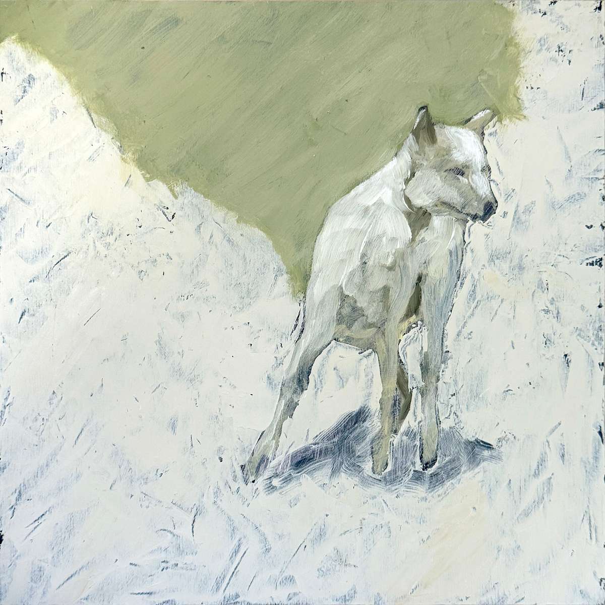 Dogus by Michael Dickter 
