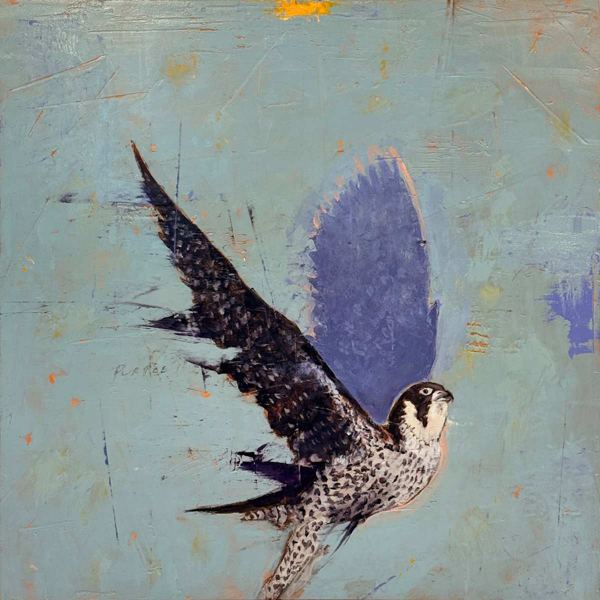Peregrine Dreams by Michael Dickter, Image 1.