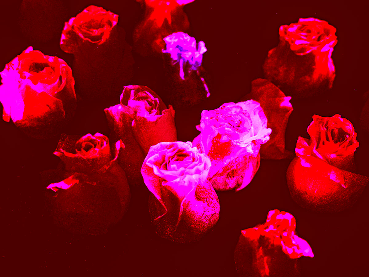 Be Mine by Pamela Beck 