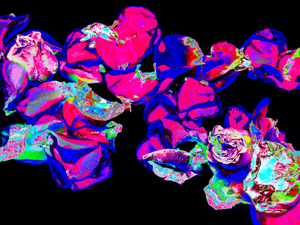 Fairytale Flowers by Pamela Beck 