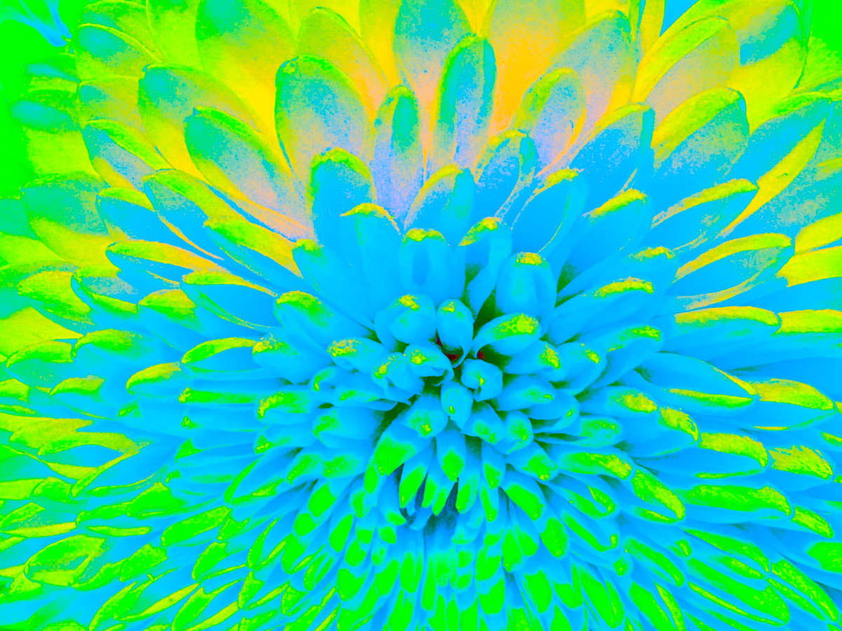 Magical Mum by Pamela Beck, Image 1.