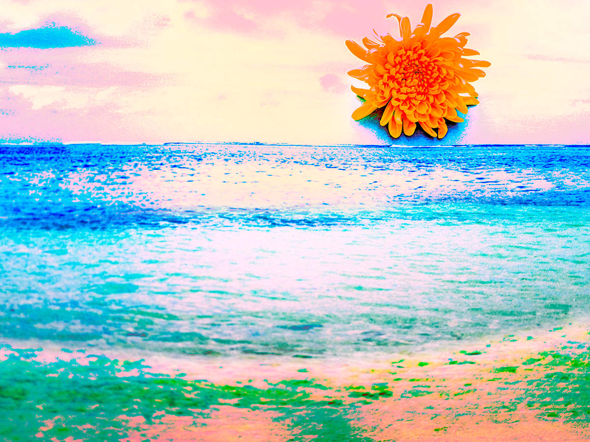 Rising Mums by Pamela Beck 