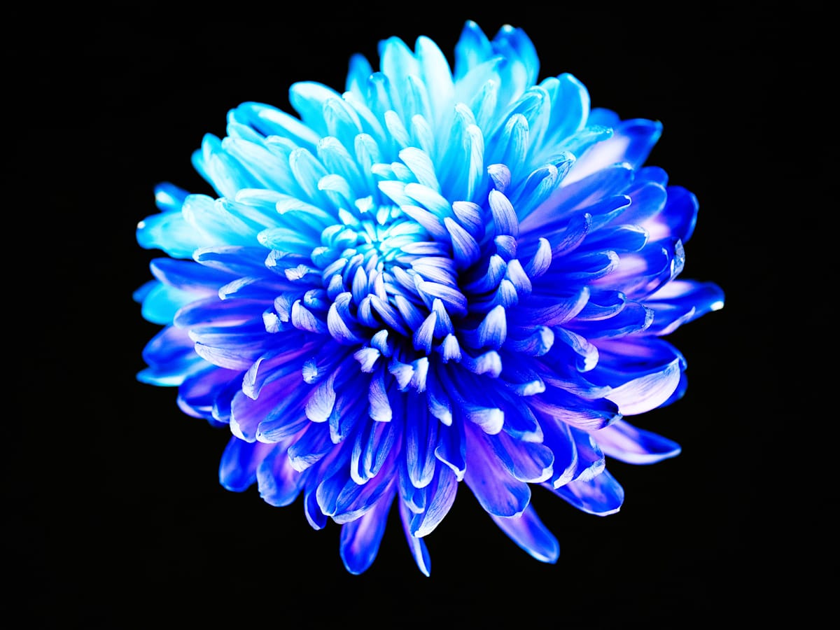 Mum's The Word by Pamela Beck 