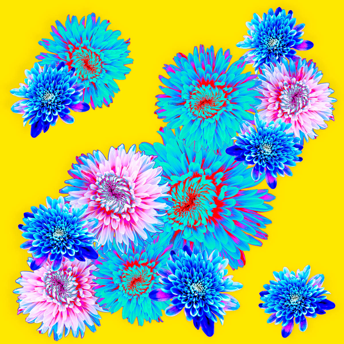Spring Fling, Lemon by Pamela Beck, Image 2.