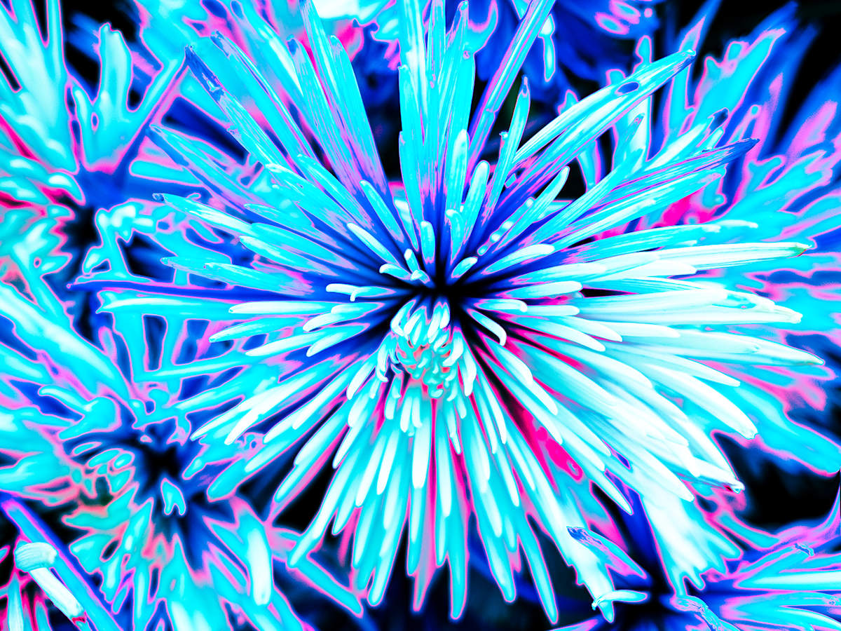 Aqua Nova, II by Pamela Beck 