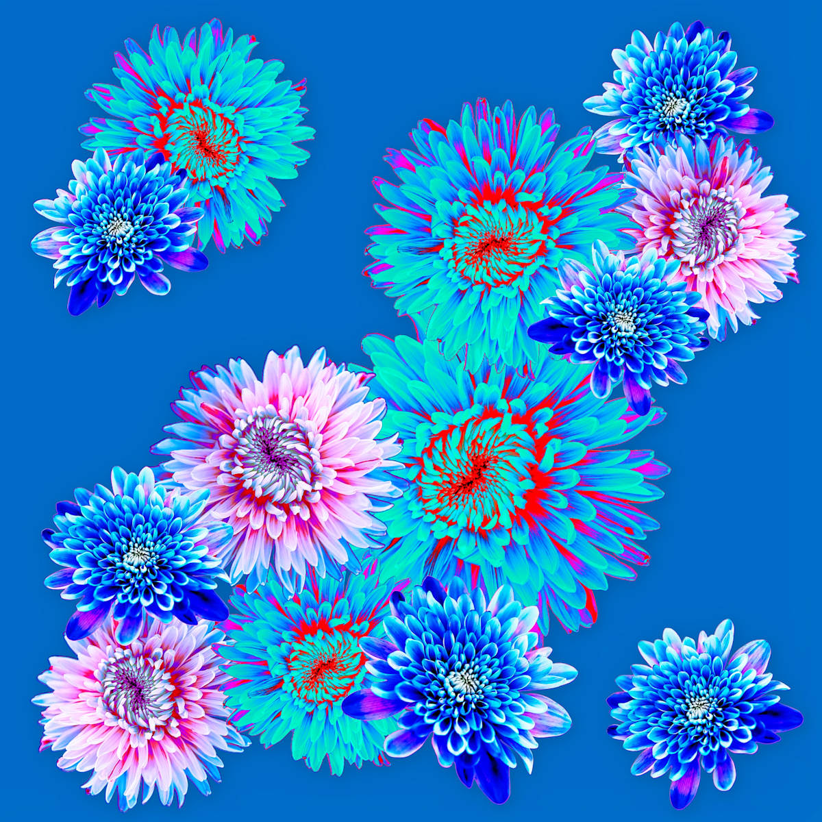 Spring Fling, Breeze by Pamela Beck 