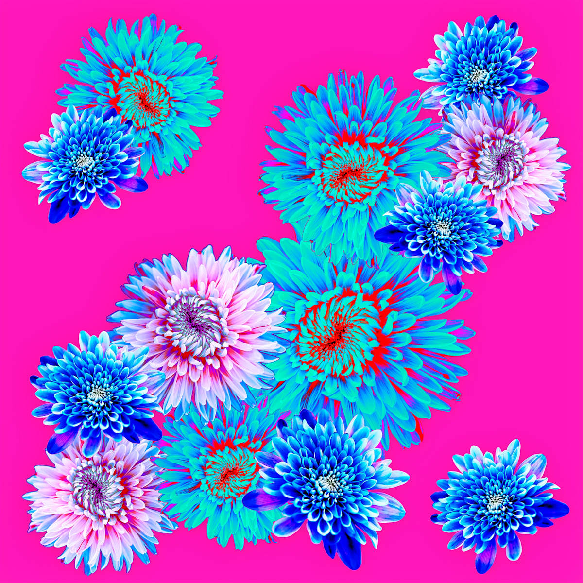 Spring Fling, Bubblegum by Pamela Beck 