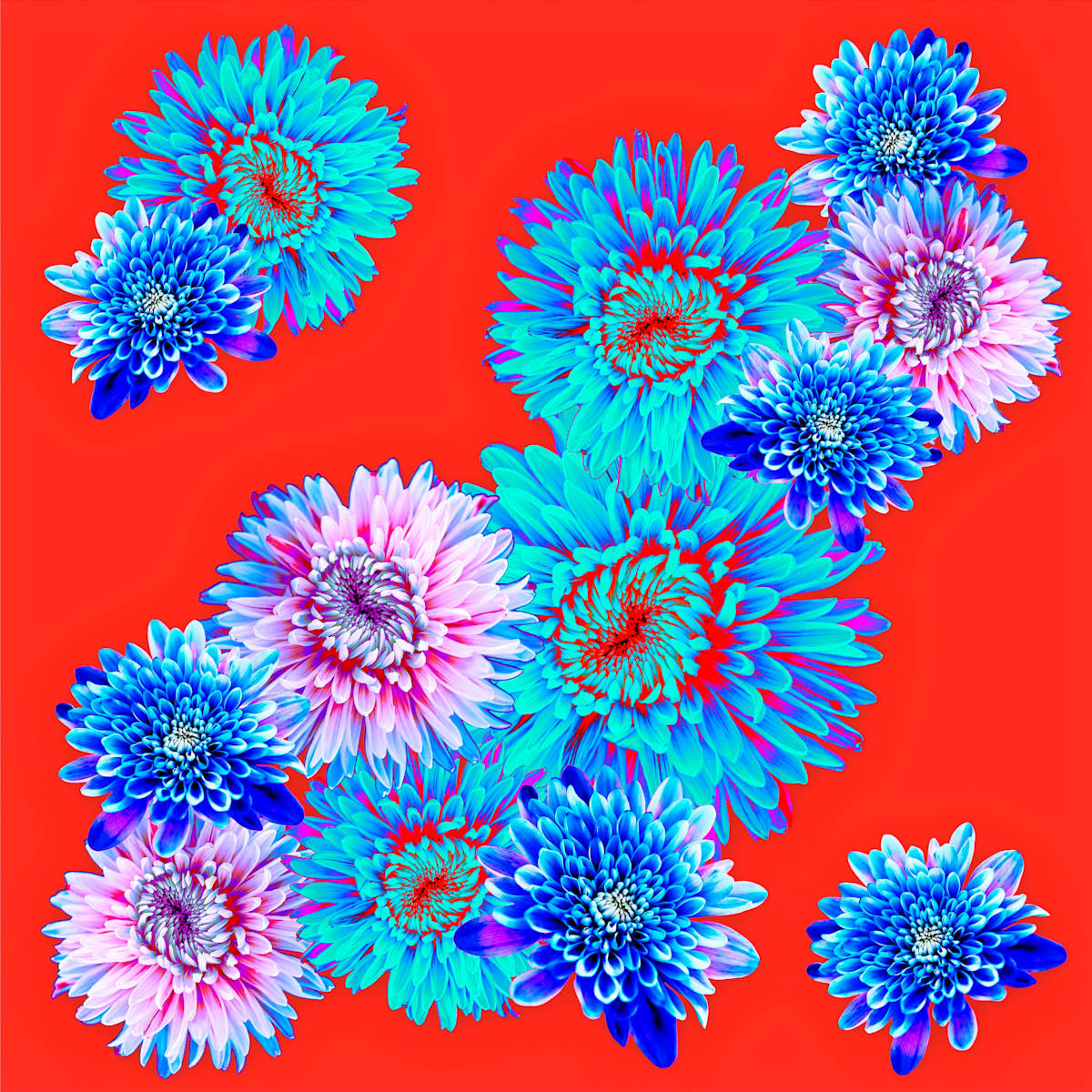 Spring Fling, Flame by Pamela Beck 