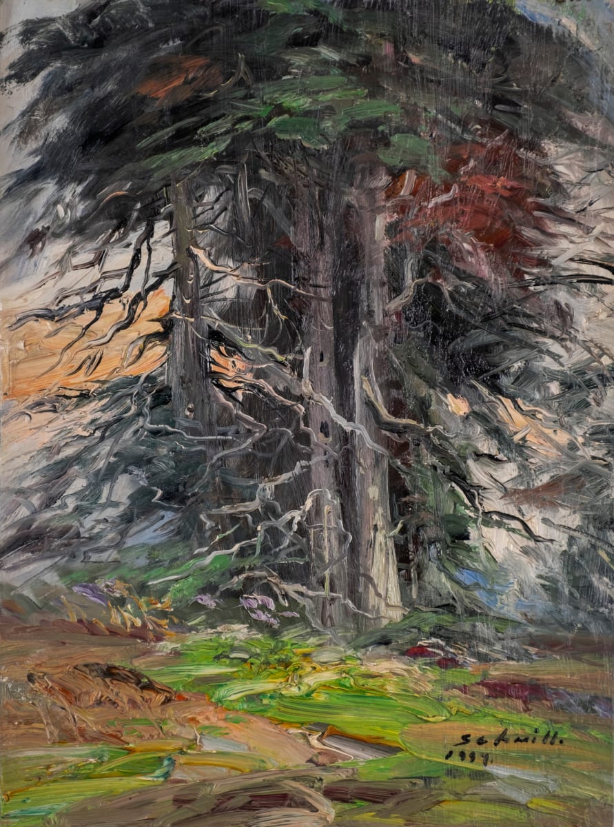 LANDSCAPE by Jose Manuel Schmill 