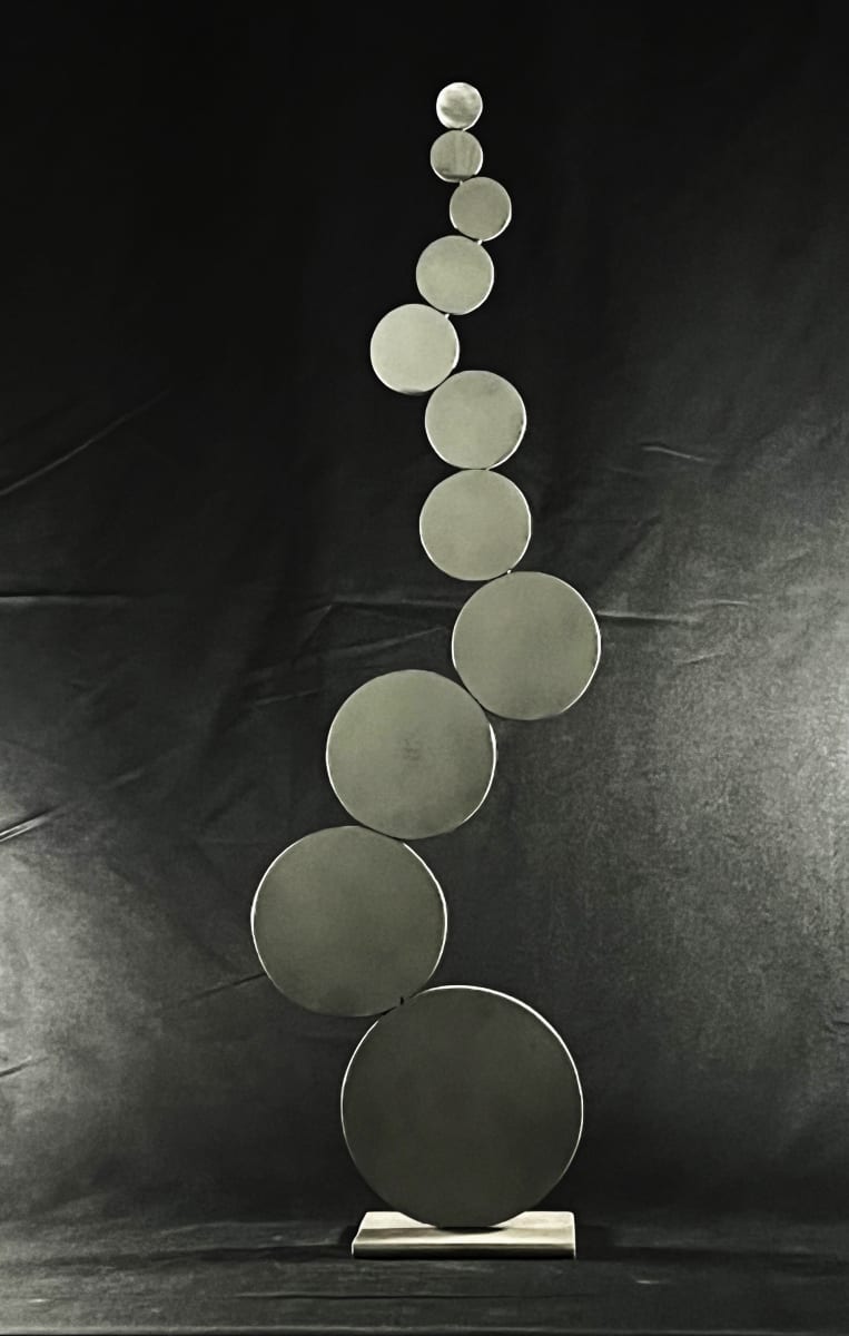 Thriving against the Odds by Eric Saint Georges 