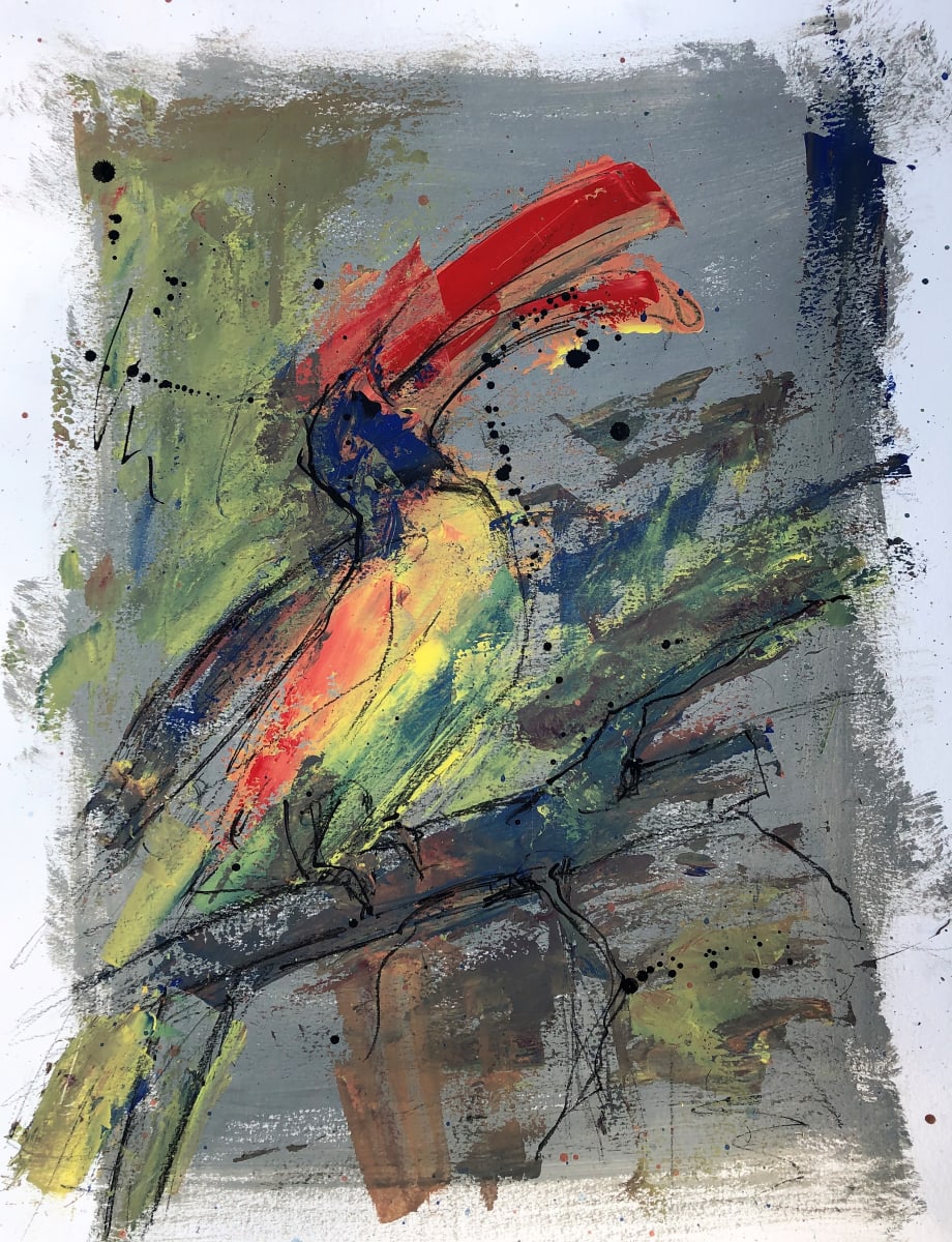 Toucan by Eric Saint Georges 