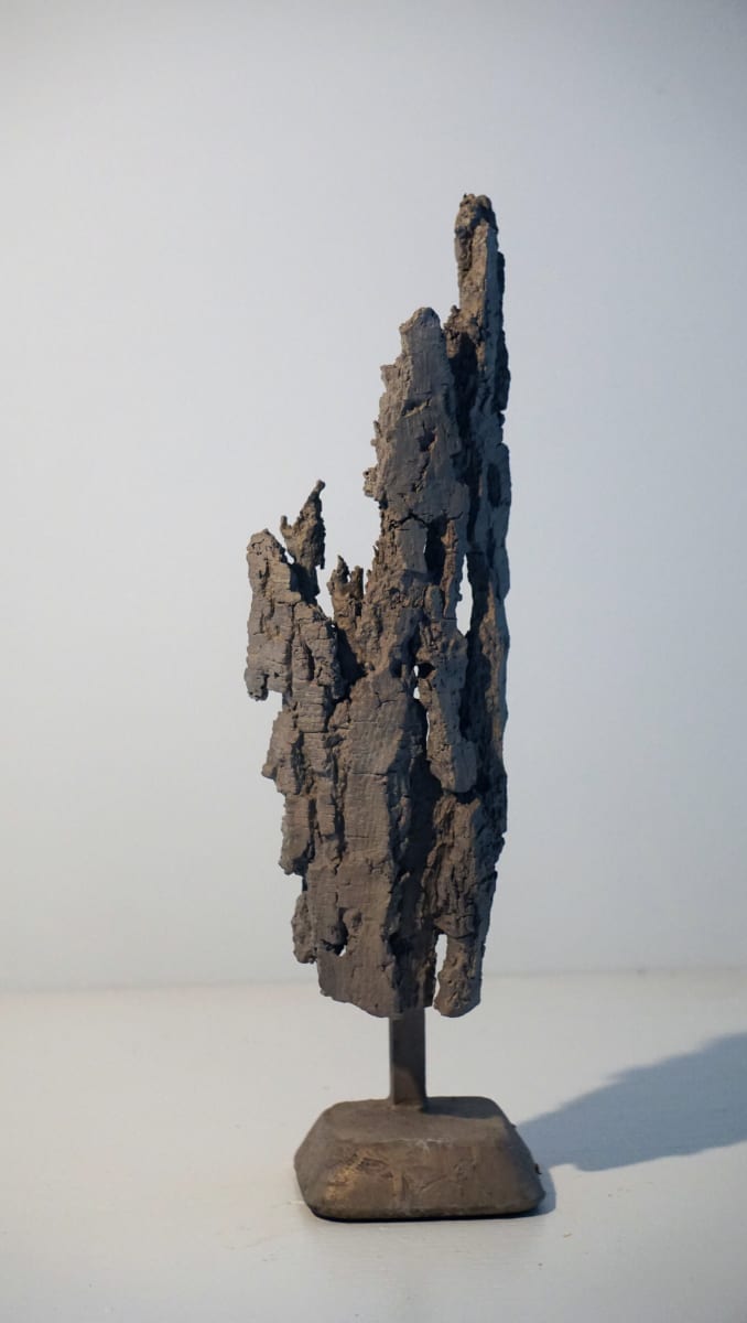 Bark #16 by Eric Saint Georges 