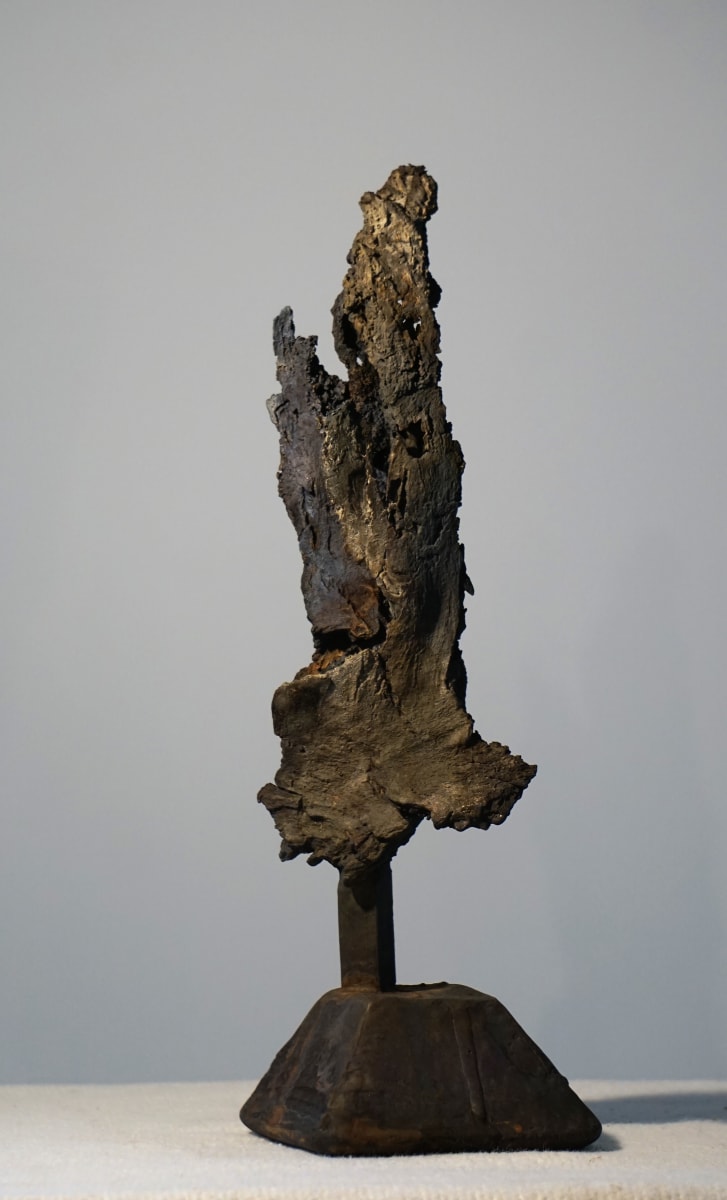 Bark #5 by Eric Saint Georges 