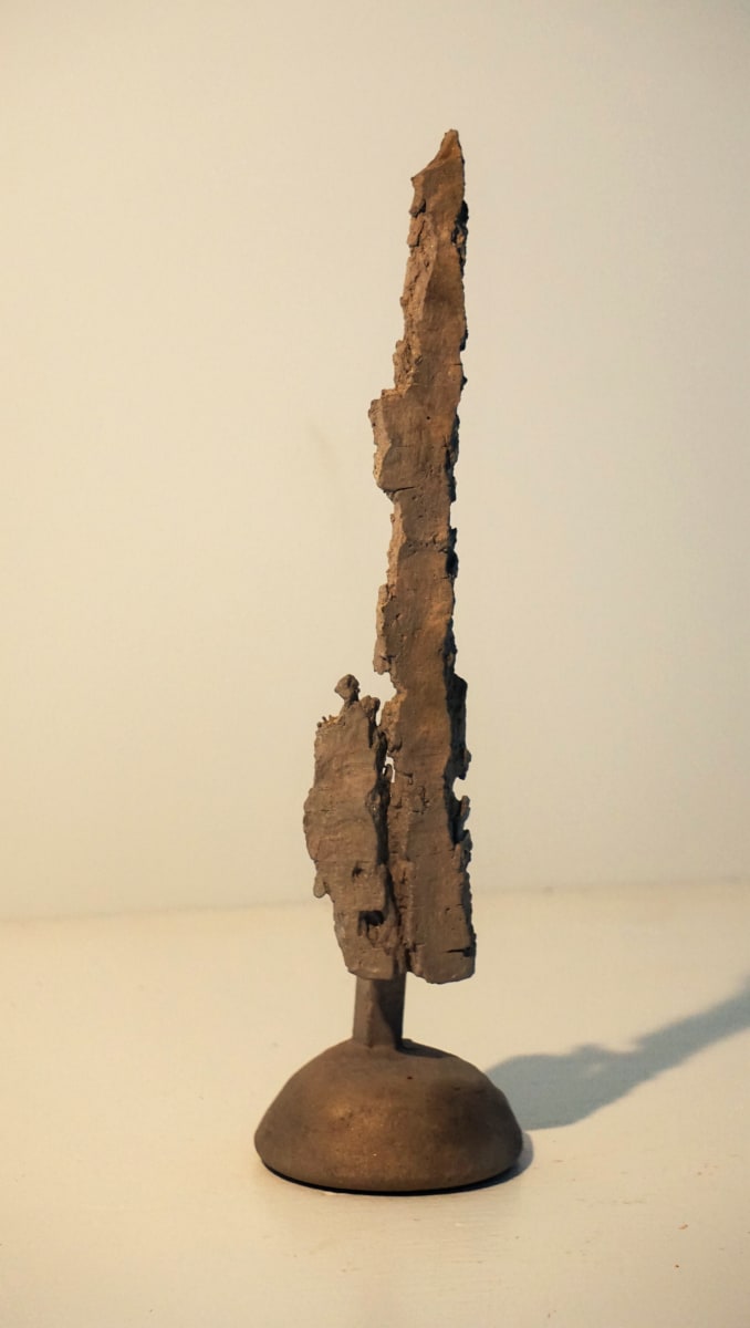 Bark #14 by Eric Saint Georges 