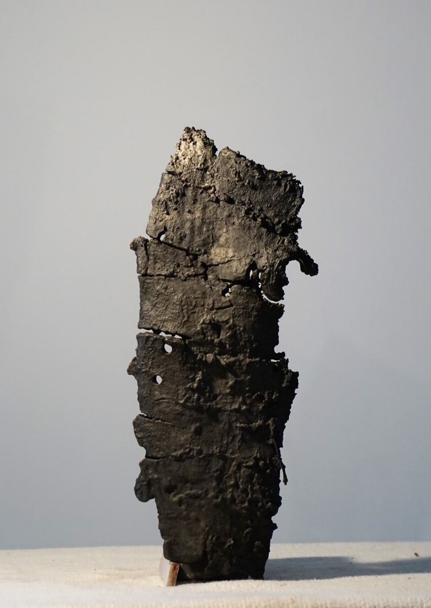 Bark #3 by Eric Saint Georges 