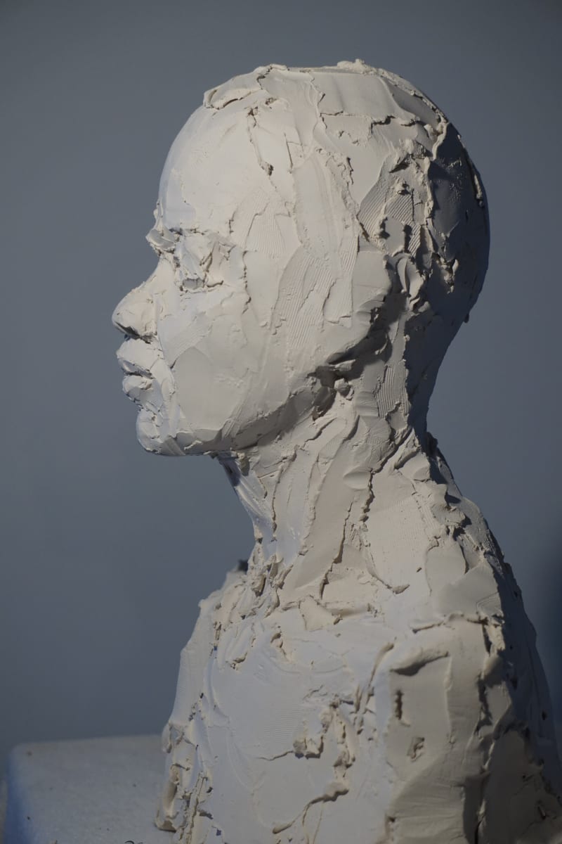 Diada Bust 2 by Eric Saint Georges 