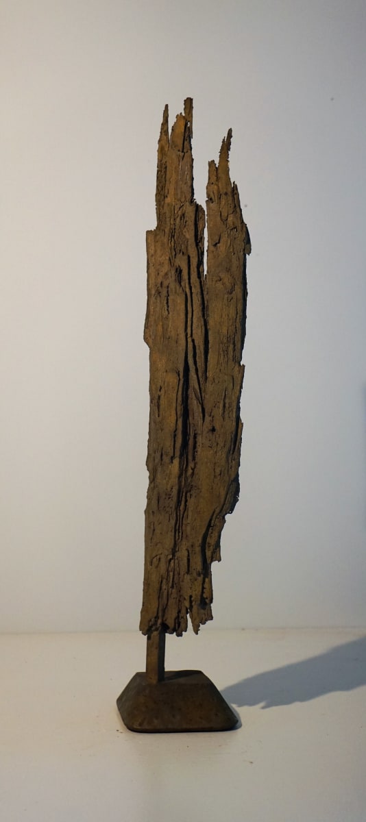 Bark #12 by Eric Saint Georges 