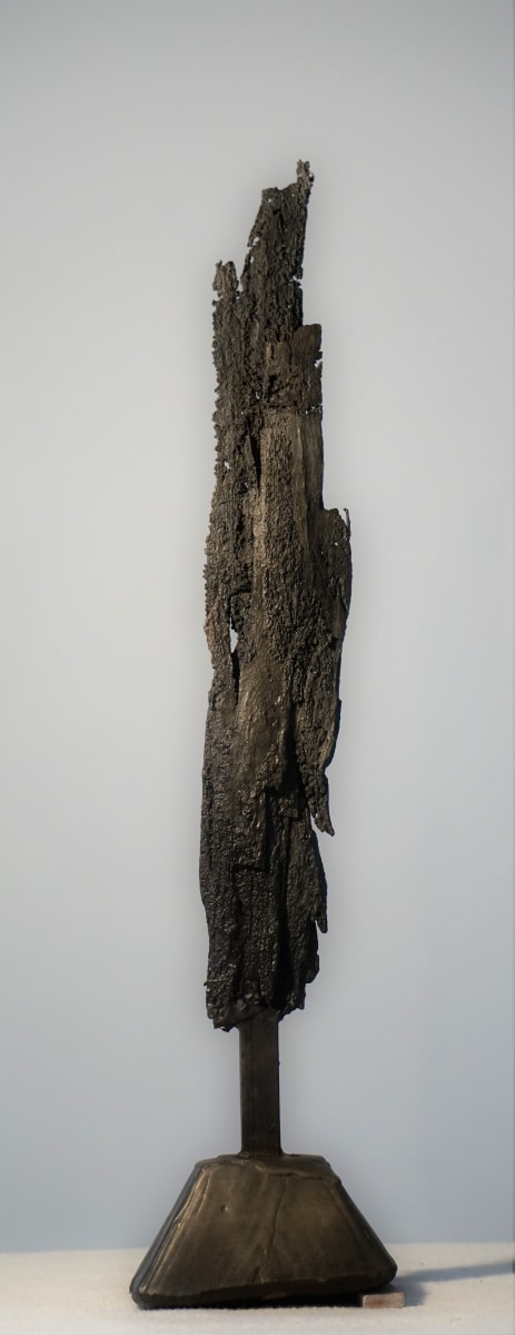 Bark #9 by Eric Saint Georges 