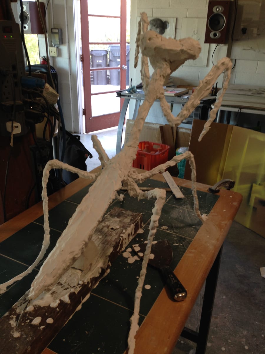 Mantisse by Eric Saint Georges 