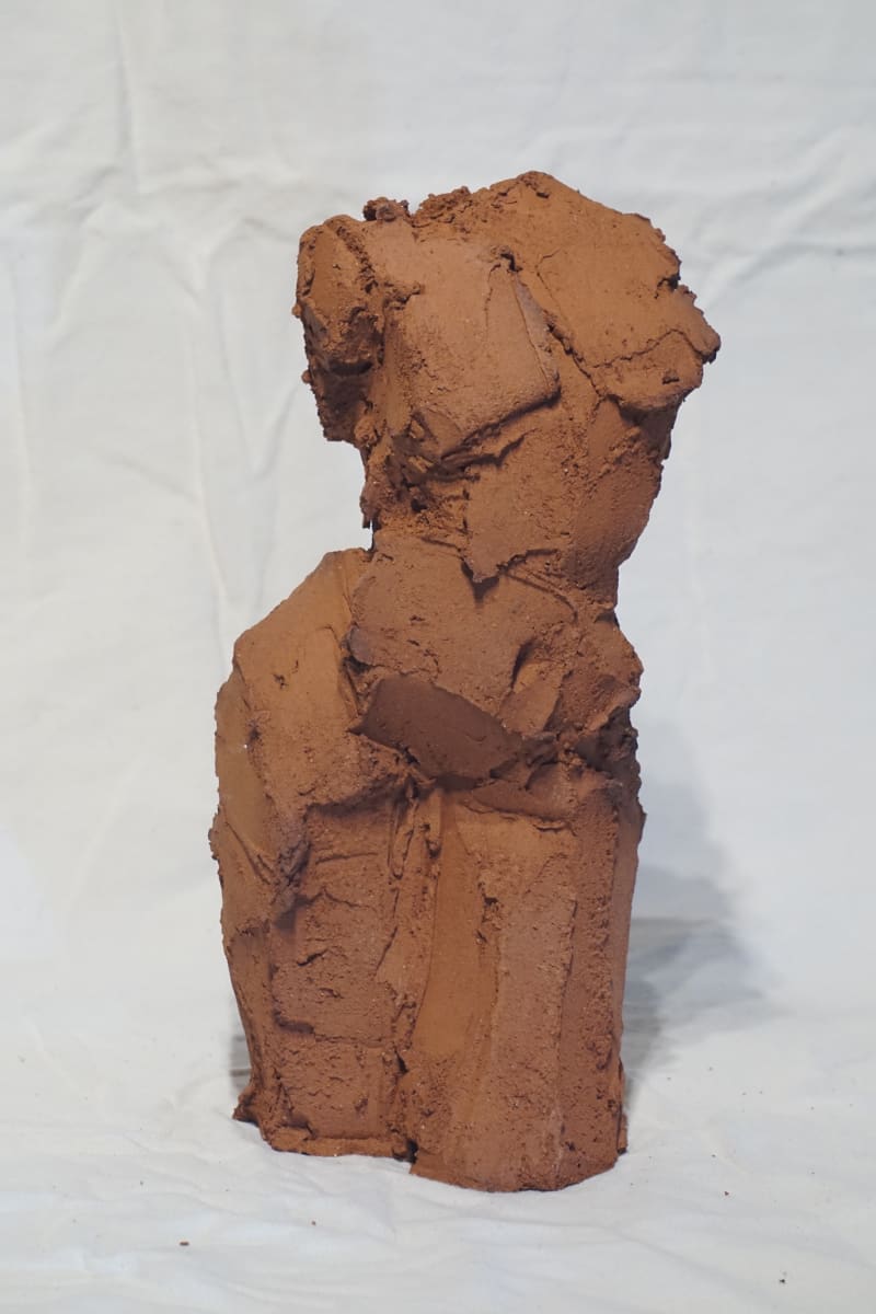 Zika 1 by Eric Saint Georges 