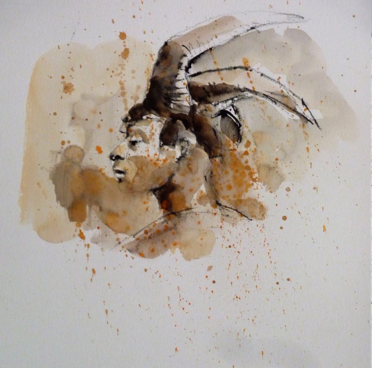 Jesse with Horn by Eric Saint Georges 