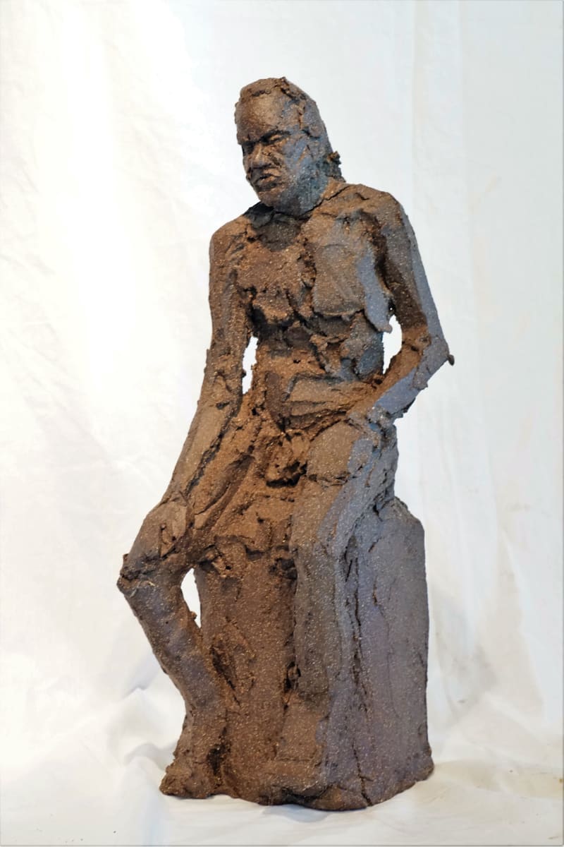 Crow Sitting #2 by Eric Saint Georges 